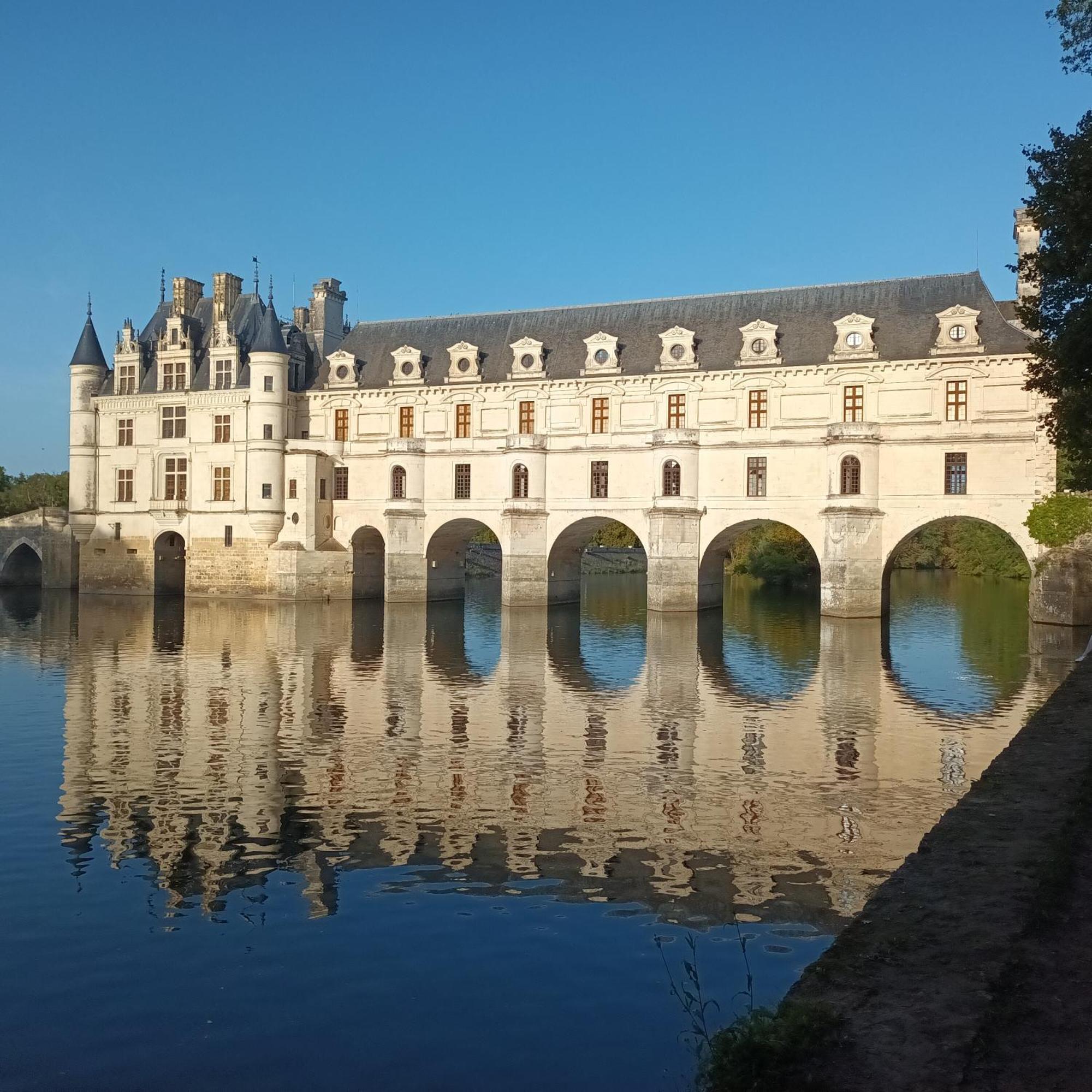 Au Nom Des Dames, Maison Et Table D'Hotes, Pres De Chenonceau Et Du Zoo De Beauval Faverolles-sur-Cher Εξωτερικό φωτογραφία